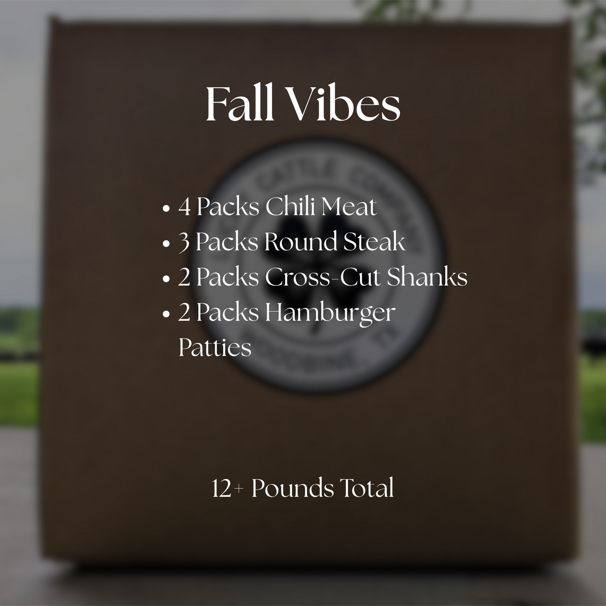 Fall Vibes