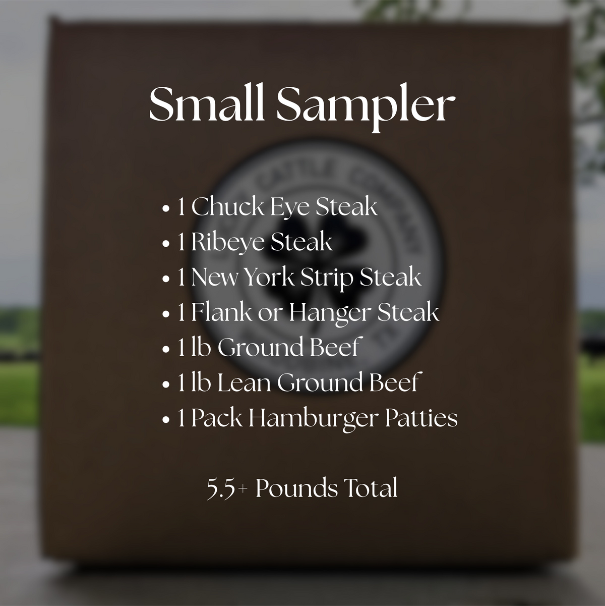 Small Sampler